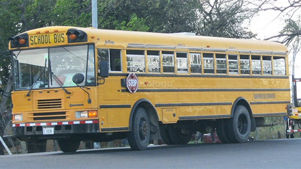 AB5336 AmTran FE International
